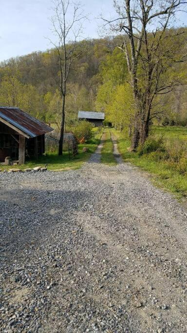Вилла Country Mountain Escape! Barnardsville Экстерьер фото