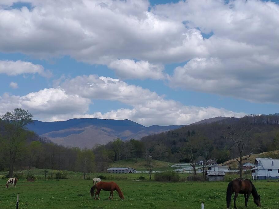 Вилла Country Mountain Escape! Barnardsville Экстерьер фото