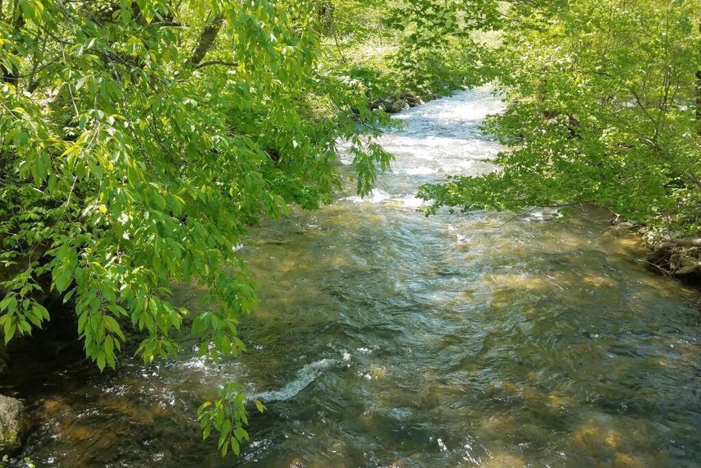 Вилла Country Mountain Escape! Barnardsville Экстерьер фото