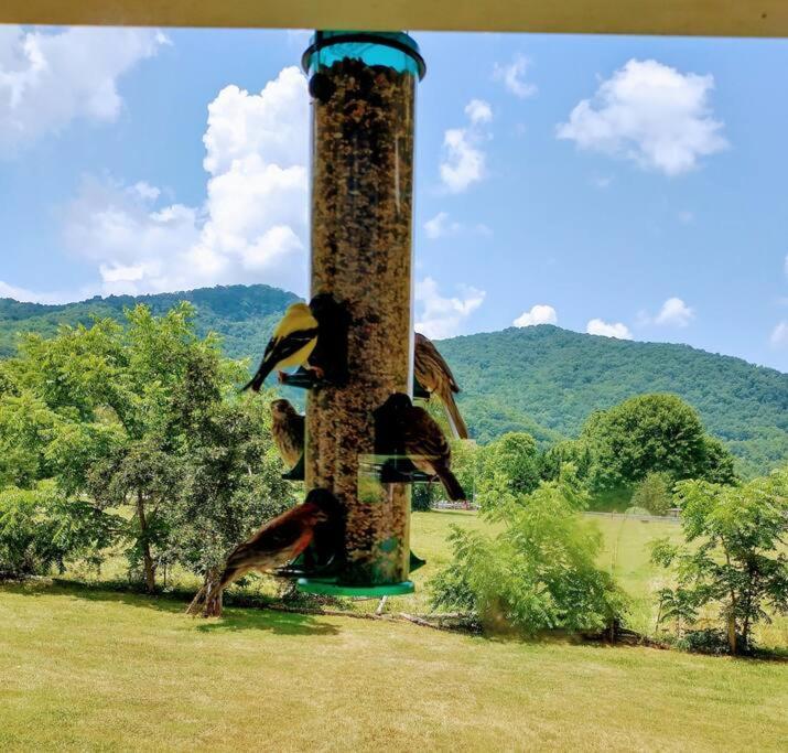 Вилла Country Mountain Escape! Barnardsville Экстерьер фото