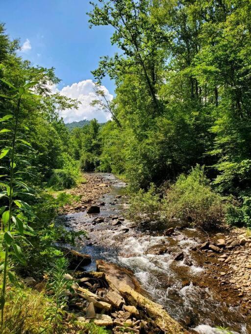 Вилла Country Mountain Escape! Barnardsville Экстерьер фото