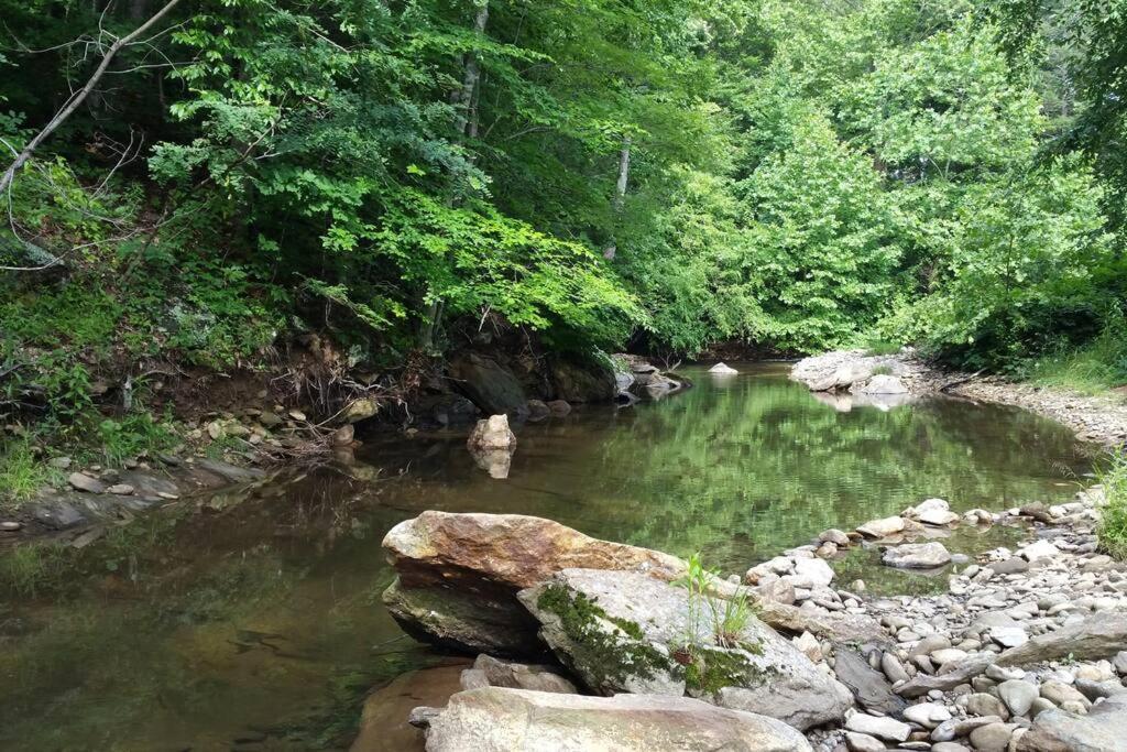 Вилла Country Mountain Escape! Barnardsville Экстерьер фото