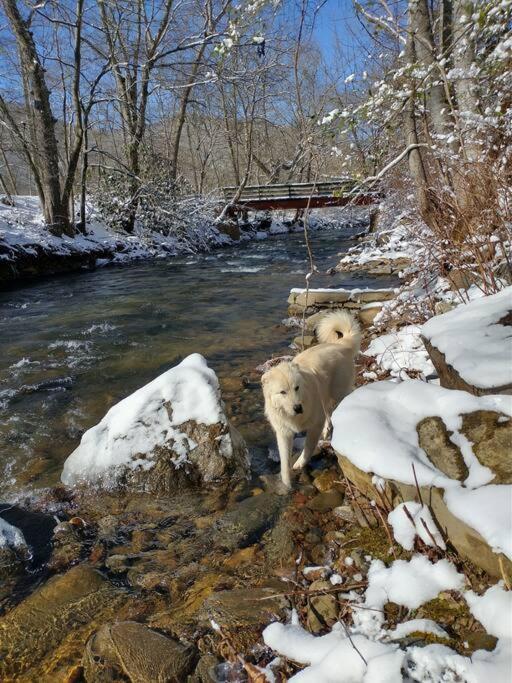 Вилла Country Mountain Escape! Barnardsville Экстерьер фото