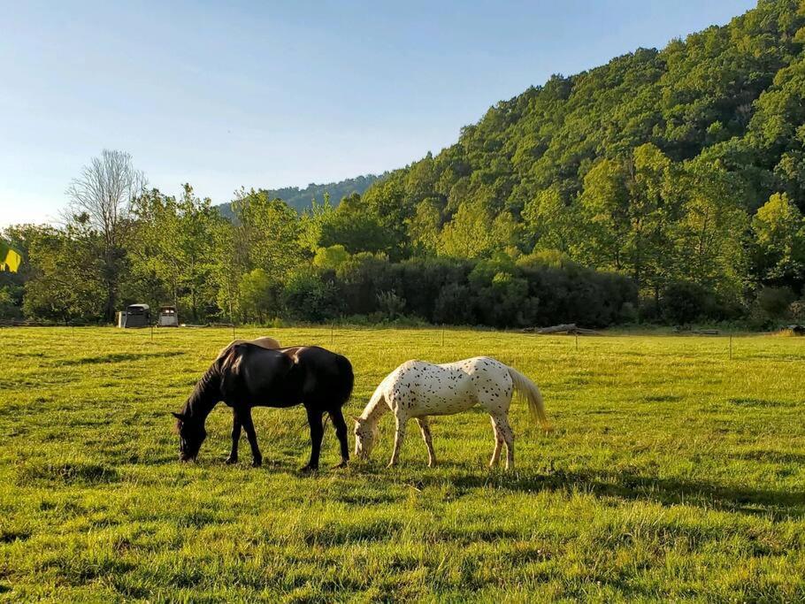 Вилла Country Mountain Escape! Barnardsville Экстерьер фото